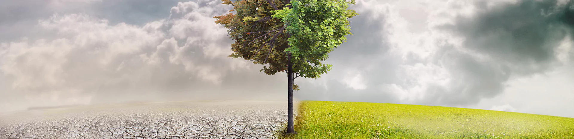 Társadalmi felelősségvállalás